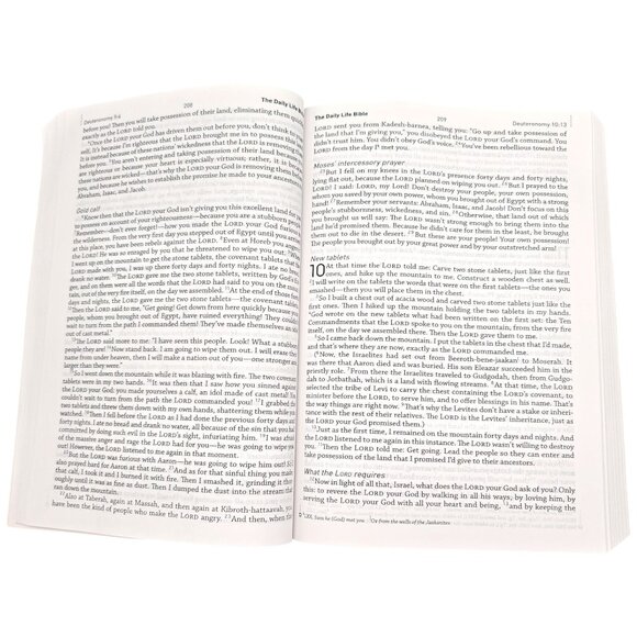 The Daily Life Bible LARGE PRINT EDITION Easy To Read Common English Bible - Picture 11 of 16